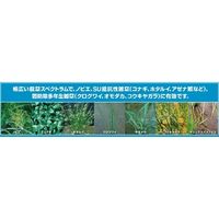 バイエル カウンシルコンプリートフロアブル 2L 2056633 1個 バイエル クロップサイエンス（直送品）