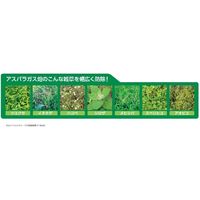 バイエル センコル水和剤 100g 2056647 1パック バイエル クロップサイエンス（直送品）
