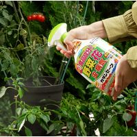 カダンセーフ 1000ml 3本 園芸用殺虫・殺菌剤 フマキラー