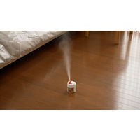 お部屋の虫キラー 1発ジェット 100ml 3個 殺虫剤 フマキラー　霧タイプ　ムカデ・クモ・カメムシ・アリ・不快害虫用