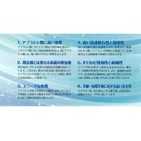 石原バイオサイエンス 石原バイオ ウララドライフロアブル 250g 2056892 1袋（直送品）