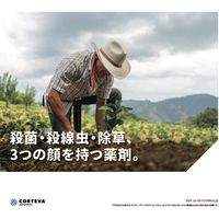 ダウ・アグロサイエンス日本 ダウケミカル NCS 20L 2057029 1個（直送品）