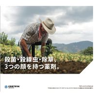 ダウ・アグロサイエンス日本 ダウケミカル NCS液剤 500ml 2057030 1個（直送品）