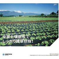 ダウ・アグロサイエンス日本 ダウケミカル アグロマックス水和剤 300g 2057031 1袋（直送品）