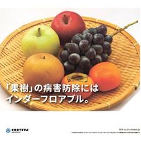 ダウ・アグロサイエンス日本 ダウケミカル インダーフロアブル 100ml 2057032 1本（直送品）