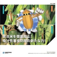 ダウ・アグロサイエンス日本 ダウケミカル エクシード粉剤DL 3kg 2057035 1袋（直送品）