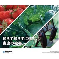 ダウ・アグロサイエンス日本 ダウケミカル スピノエース顆粒水和剤 100g 2057038 1個（直送品）