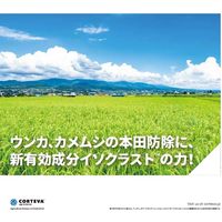 ダウ・アグロサイエンス日本 ダウケミカル ビームエイトエクシードゾル 500ml 2057040 1本（直送品）