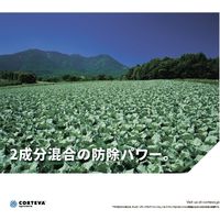 ダウ・アグロサイエンス日本 ダウケミカル ファルコンエースフロアブル 250ml 2057042 1個（直送品）