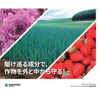 ダウ・アグロサイエンス日本 ダウケミカル ラリー水和剤 100g 2057046 1袋（直送品）