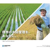 ダウ・アグロサイエンス日本 ダウケミカル ロイヤント乳剤 200ml 2057048 1本（直送品）
