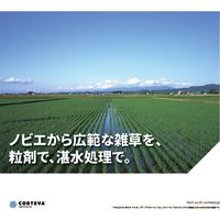 ダウ・アグロサイエンス日本 ダウケミカル ワイドアタックD1キロ粒剤 1kg 2057049 1袋（直送品）