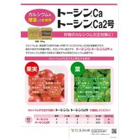 生科研 トーシンCA 20kg 2057146 1箱（直送品）