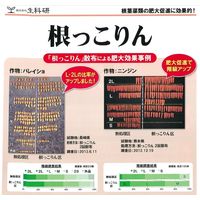 生科研 根っこりん 20kg 2057160 1箱（直送品）