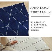 イケヒコ グラース 玄関マット 550×850mm アイボリー 1310970145001 1枚（直送品）