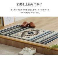 イケヒコ ピオス 玄関マット 600×900mm ブルー 1311420041801 1枚（直送品）
