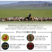 イケヒコ イビサ ラグ 800×1400mm ネイビー 1320370190101 1枚（直送品）