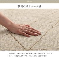 イケヒコ クォーツ ラグ 800×1400mm 1320550010101 1枚（直送品）