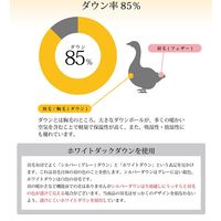 イケヒコ 羽毛掛布団 ベリーズ シングルロング 1500×2100mm ピンク 1201851223502 1枚（直送品）