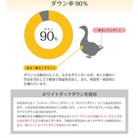 イケヒコ 羽毛掛布団 ローゼ ダブルロング 1900×2100mm ピンク 1202471222402 1枚（直送品）