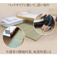 イケヒコ い草マットレスＰＲＯ 1200×2100mm 1360140011301 1枚（直送品）