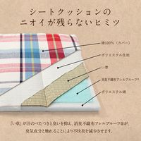 イケヒコ 中身い草のシート 400×400mm 1360230010101 1枚（直送品）