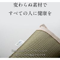 イケヒコ 背中さらっとクッション 500×500mm 1360040010101 1個（直送品）