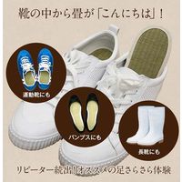 イケヒコ・コーポレーション 足さらっとインソールPro 26cm 1360100010601 1枚（直送品）