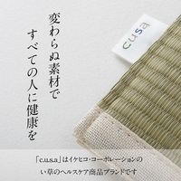 イケヒコ 洗える背中パッド 350×380mm 1360020010101 1枚（直送品）