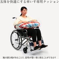 イケヒコ 五体さらっとクッション 480×800mm 1360080010102 1個（直送品）