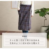 イケヒコ・コーポレーション カリス スカートブランケット NV フリーサイズ 1220910191591 1枚（直送品）