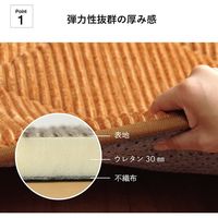 イケヒコ グランド 座布団 600×600mm グリーン 1221060121691 1枚（直送品）