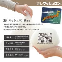 イケヒコ ヌード こたつ布団 2000×2500mm ベージュ 1330720020802 1枚（直送品）
