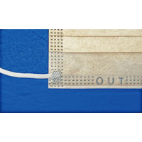 ファーストレイト フィット使いきりマスク123 ベージュ 50枚 FR-123　使い捨て サージカル 不織布　1箱（50枚入）