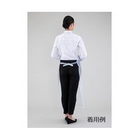 藤勝 ビニール前掛(胸付き) S-1 1セット(3枚) 4-1227-01（直送品）