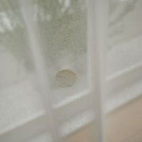 スミノエ コルネ セミオーダー レースカーテン ギモーヴ 2200×2040mm アイボリー １セット(2枚入)（直送品）