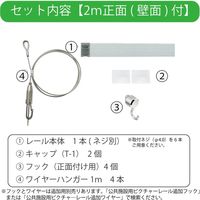 【公共施設用】 TOSO T-1_2m_S_NAT ピクチャ―レール_2m_正面付け セット<ナチュラル> 1セット（直送品）