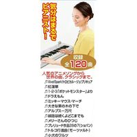ファミリー・ライフ カシオ 光ナビゲーションキーボード特別セット a27008 1個（直送品）