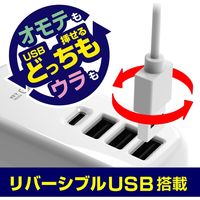 カシムラ ACUSB-3A+C-24W 1.2mリバーシブル自動識別 AC-024 1個
