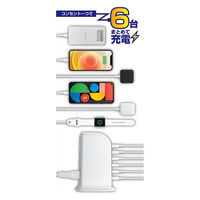 カシムラ AC-6USB-8A自動識別WH AC-029 1個
