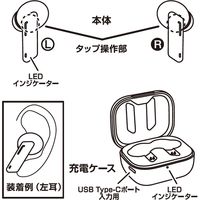 カシムラ 完全ワイヤレスステレオイヤホン BL-112 1個