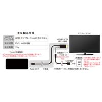 カシムラ HDMI変換ケーブル Type-C専用4K充電用ポート付 KD-222 1個