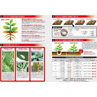 エムシー緑化 スターガード粒剤 800g 4571367110016 1個（直送品）