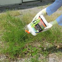 レインボー薬品 グリホアミノロングシャワー 1.2L 4903471100810 1個（直送品）