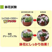 レインボー薬品 レインボーフラワーWアンプル 30ml×10P 4903471101770 1個（直送品）