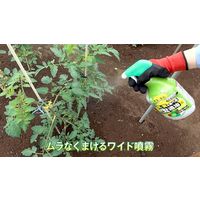 住友化学園芸 ベニカAスプレー 1000ml 4975292604136 1個（直送品）