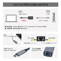 有線LAN アダプタ Type-C マルチギガビット 2.5G LANアダプタ VV-UCRJG-DO Vodaview