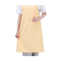 ワコウ 抗ウイルスエプロン Dr.EarthR 首掛け オレンジ E3500-6 1枚 7-779-04（直送品）