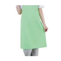 ワコウ 抗ウイルスエプロン Dr.EarthR たすき掛け ソフトグリーン E3500-2T 1枚 7-780-03（直送品）