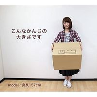 ロジマート 130サイズ ダンボール C5 AF 50枚 【NO278】 51z278-50 1セット（直送品）